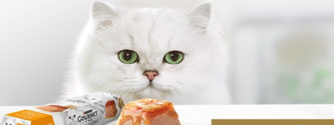 25% Zooplus-Ersparnis für Neukunden auf Gourmet-Katzenfutter 