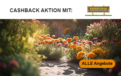 Herbst-Angebot: Bis zu 7% Cashback und zusätzlich bis zu 10 € BALDUR-Gutschein sichern!