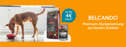Premium-Hundefutter: Spare 4€ beim Kauf von Belcando