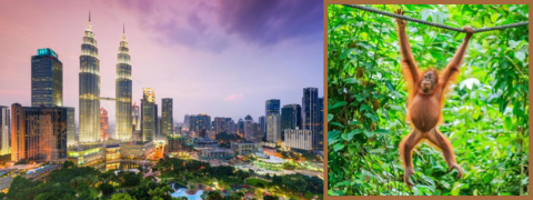 Malaysia & Borneo - Rundreise: Hotel **** und Lodge, ab 3099€ pro Person