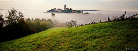 Straden / Steiermark: De Merin Boutique Hotel Straden ****, ab 99€ pro Person