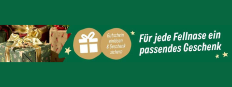 Nur für kurze Zeit: Jahreskalender mit Tiermotiven GRATIS erhalten
