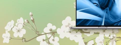 Frühjahrsschnäppchen bei AfB: Spare bis zu 25% auf Apple MacBooks!