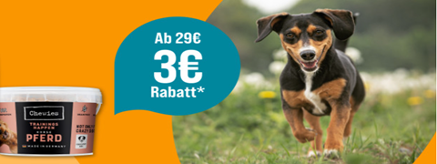 Sichere dir 3€ Nachlass auf Hundesnacks bei Zooroyal! Jetzt sparen!