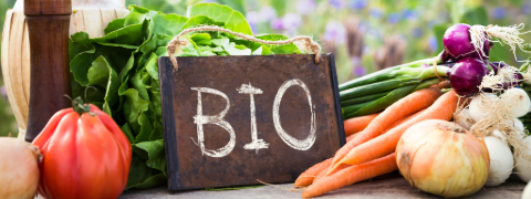 Motatos Rabattcode: Spare bis zu 81% auf Bio-Produkte