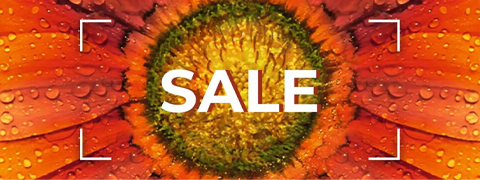 LIMITIERT: 50% Rabatt auf Yves Rocher Sommer-Highlights