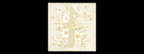 Babor Adventskalender 2025 - täglich 29% Rabatt sichern