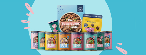 Spare bis zu 38% auf Hundepakete mit dem aktuellen Pets Deli Gutschein