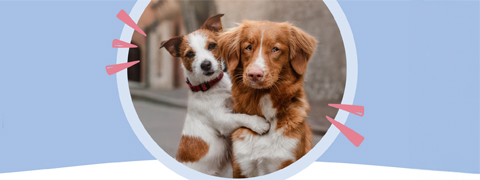 Freunde werben und 10€ Pets Deli Gutschein sichern