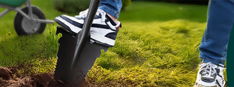 Sonderaktionen der Gartenwoche bei MediaShop TV – bis zu 50% Ersparnis