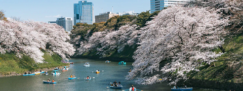 Sparen von mindestens 10% mit dem Hotels.com Gutschein