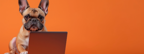 20% Rabattcode von Fressnapf für das komplette Dogs Creek Sortiment